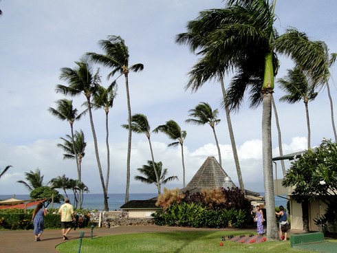 Picture of the Gazebo Restaurant at the Napili Shores Resort, Maui.