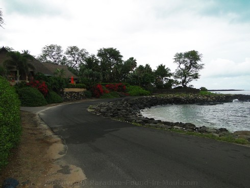 Picture of road winding along the coast in the Ahihi Kinau Natural Area Reserve, Maui, Hawaii.