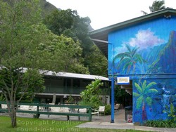 Picture of a tropical mural on the side of the Hawaii Nature Center cafe on Maui