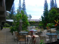 Picture of the dining area.