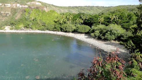 Picture of Honolua Bay, Maui, taken from above.