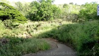 Picture of path from Honolua Bay, Maui parking area to the gate.