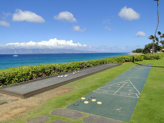 Activities at the Kaanapali Ocean Inn