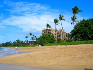 royal lahaina resort on Kaanapali Beach, Maui