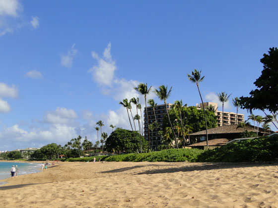 Kaanapali Ocean Inn beach