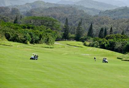 Kapalua golf-course cook pines along fairway