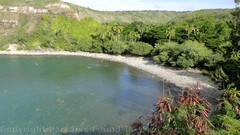 Picture of Honolua Bay in Kapalua, Maui, Hawaii