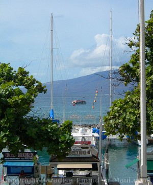 Picture of boat in Lahaina Harbor, Maui, Hawaii