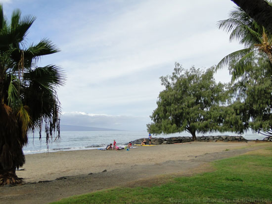 Picnic area at Launiupoko Beach Park