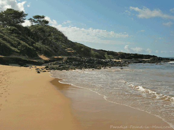 Beach Hd Tiny Porn - Little Beach - Maui's Most Famous Nude Beach!