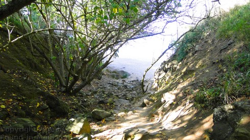 Picture of Mokule'ia Beach, Kapalua, Maui, Hawaii