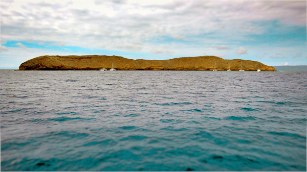 Snorkel tours at Molokini Crater