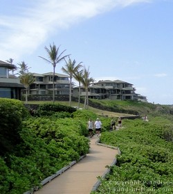 Picture of the Kapalua Coastal Trail that runs alongside Oneloa Beach on Maui, Hawaii.