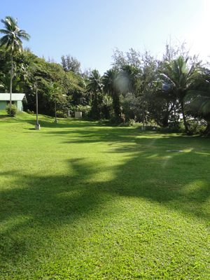 field on the way to the Red Sand Beach