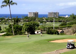 Picture of a golf course with an ocean view in Maui, Hawaii.