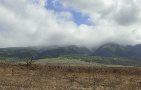 Picture of West Maui Mountain