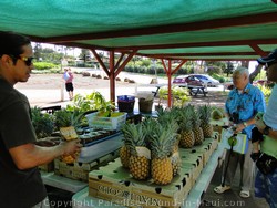 Picture of Farmer's Market at Puukoli Station on Maui, Hawaii