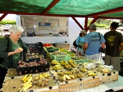 Picture of Farmer's Market at Puukoli Station on Maui, Hawaii