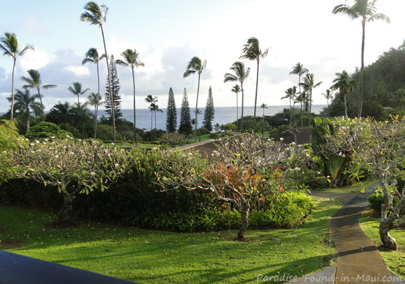 Tropical Landscaping and Ocean View