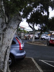 Picture of parking lot in Wailuku Maui, Hawaii.