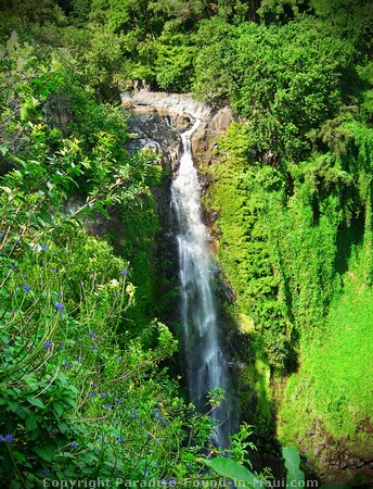 Makahiku Falls and Infinity Pool
