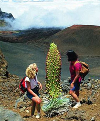 hiking in the crater