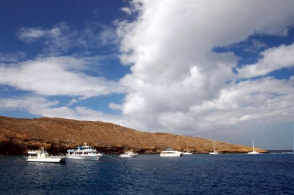 picture of boats on Molokini Crater Snorkeling Trips