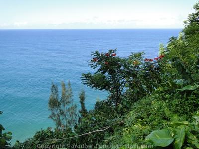 Photo taken off the Road to Hana