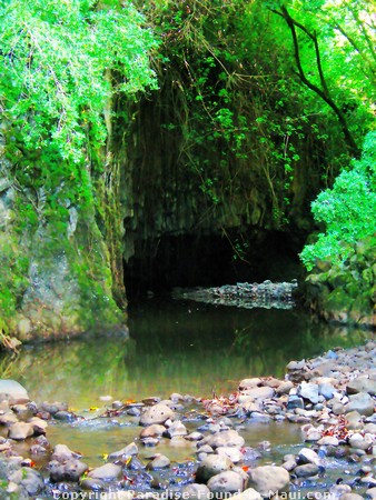 Swimming to a hidden waterfall