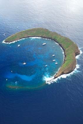 Moray Eel Sighting at Molokini Crater