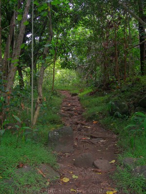 Hiking for free in Iao Valley State Park