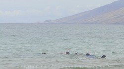 Picture of snorkeling in Maui at Keawakapu Beach.