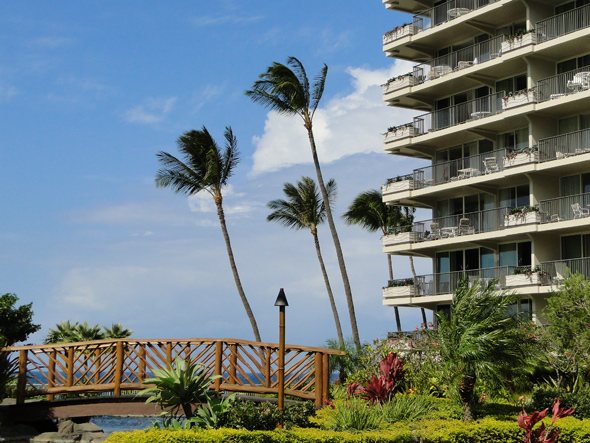 Gorgeous tropical landscaping!