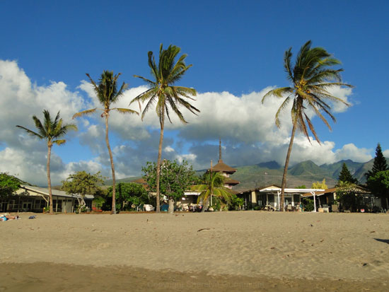 Houses behind the beach.