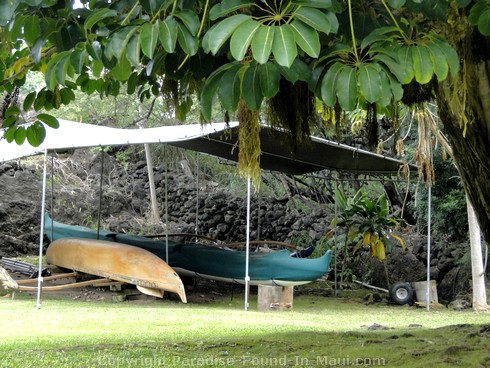 Picture of outrigger canoes, Maui Hawaii.