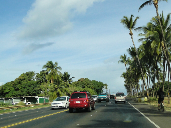 travel tips for Maui rent a car