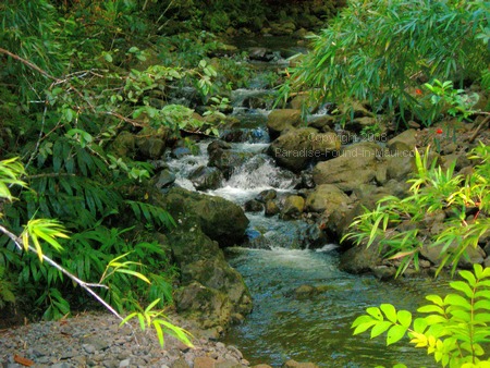 maui pictures stream with small waterfalls on Pipiwai Trail