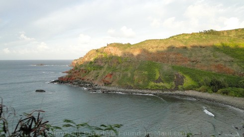 Picture of the drive along hte Honoapiilani Highway on Maui, Hawaii.