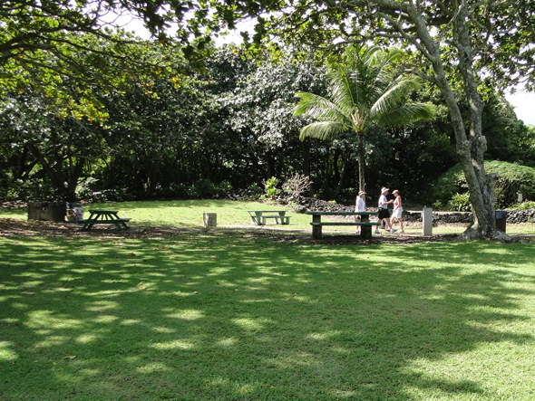 Picnic Area