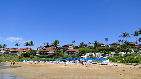 Picture of Polo Beach