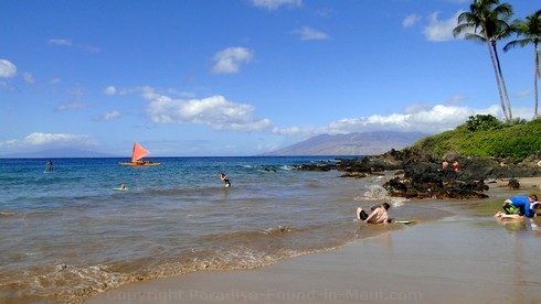 Picture of tourists having fun at Polo Beach in Wailea