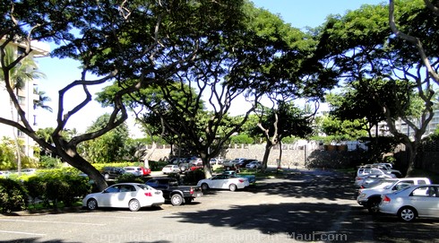 Picture of the parking lot for Polo Beach in Wailea, Maui, Hawaii.