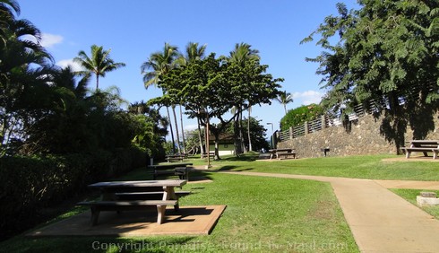Picture of picnic area at Polo Beach