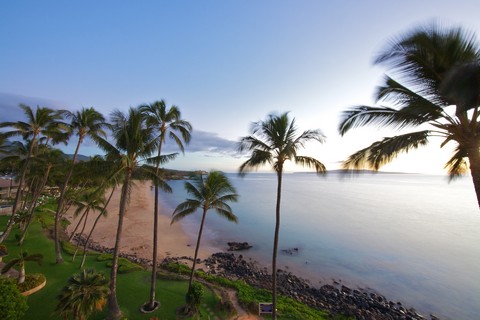 Picture of a sunny day on a beach in Maui, Hawaii.