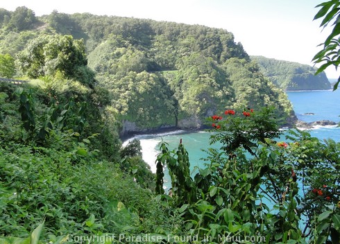 Picture of the Road to Hana viewed from Keanae, Maui.