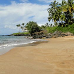 Best Beaches in Maui