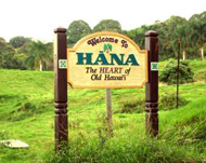 Welcome to Hana Sign