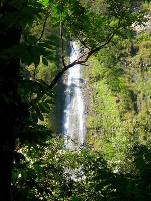 Picture of Waimoku Falls at the end of our hike along the Pipiwai Trail with Hike Maui.