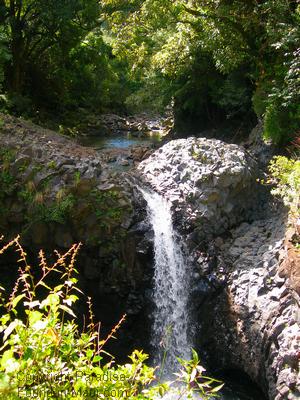 Picture of a tropical waterfall in Maui on the Pipiwai Trail.