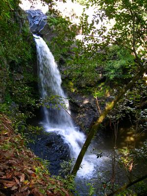 Picture of a Maui waterfall along the Pipiwai Trail.